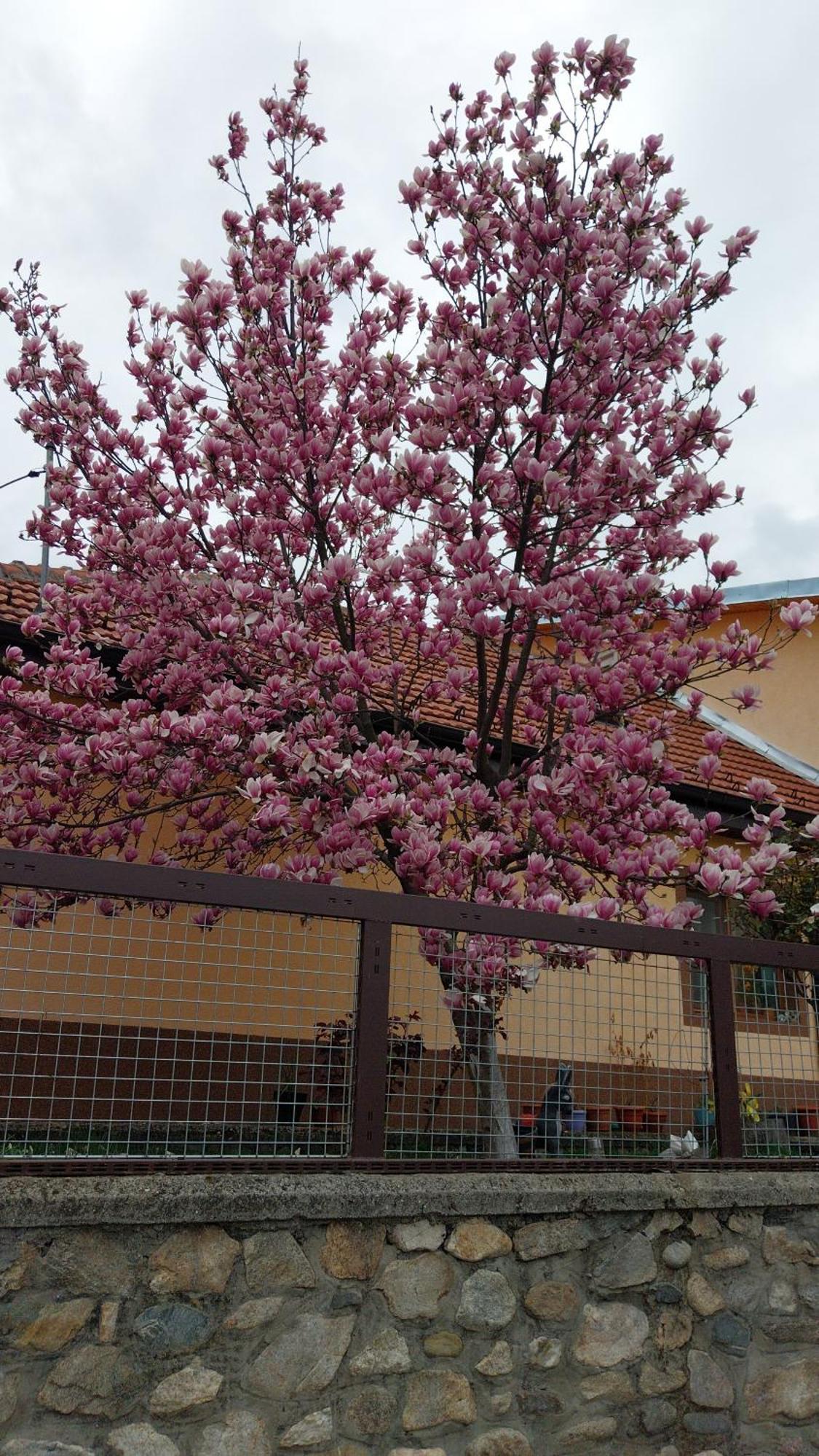 Apartamento Casa Darius Orşova Exterior foto